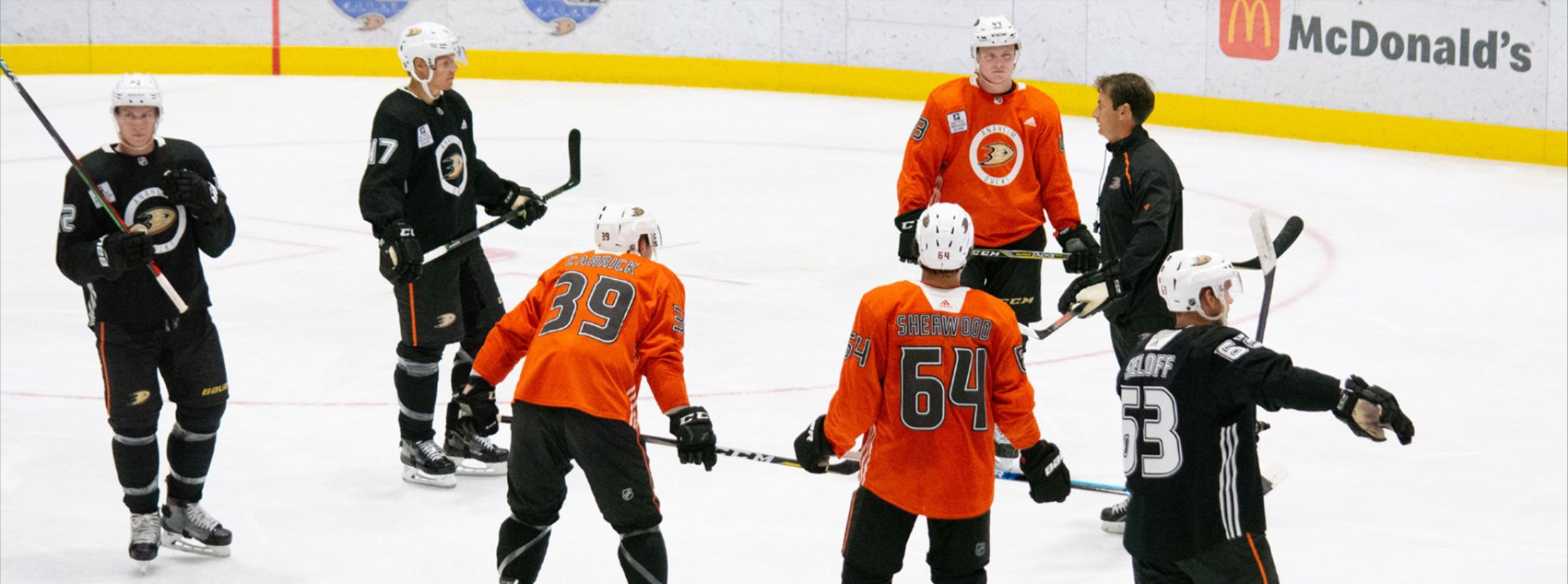 Ducks Camp: Learning from the Past