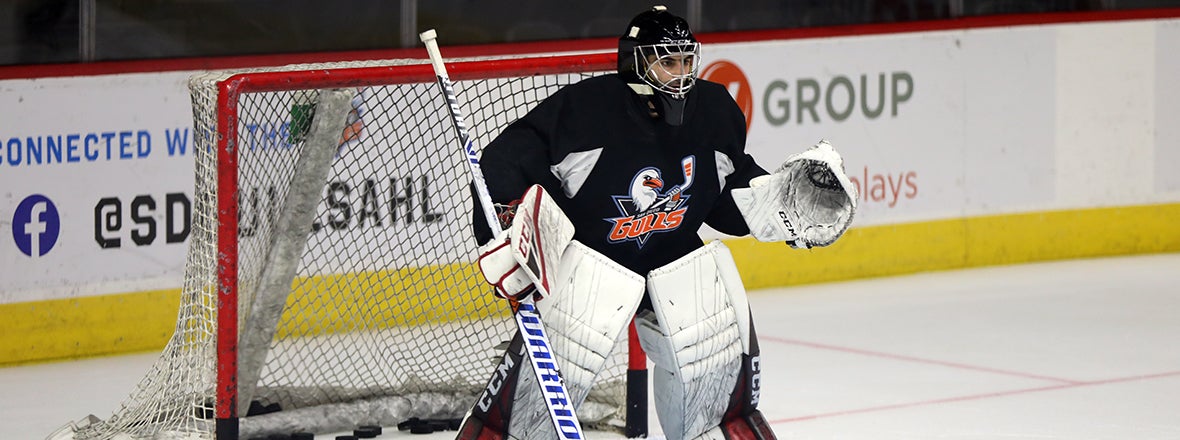 Gulls Recall Goaltender Daniel Mannella From Tulsa