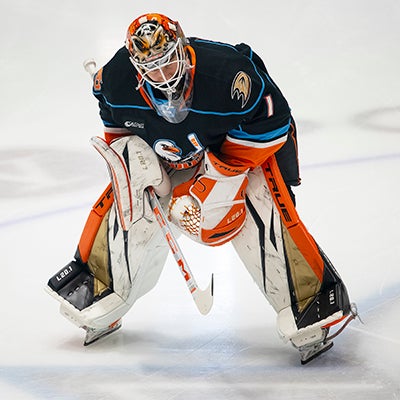 Important Offseason Lies Ahead for San Diego Gulls, Anaheim Ducks