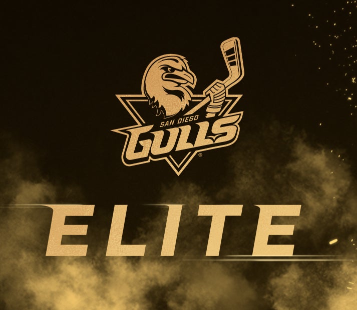 News  San Diego Gulls