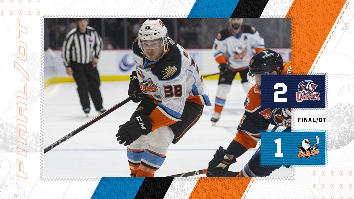 san diego gulls — Concepts —