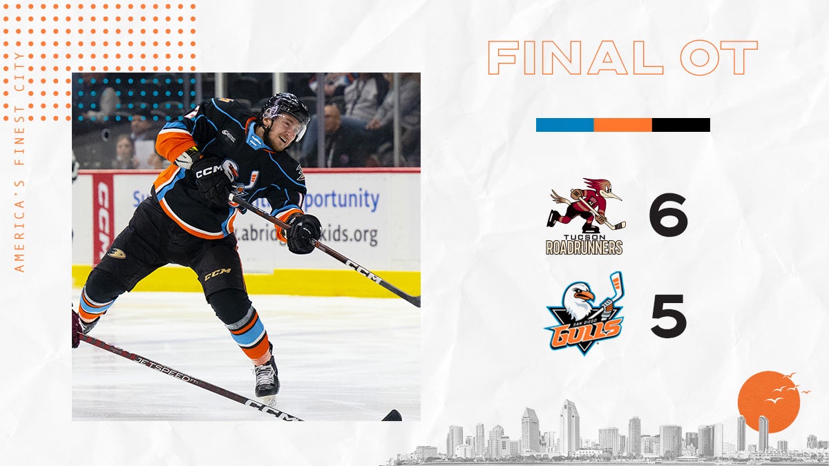 san diego gulls