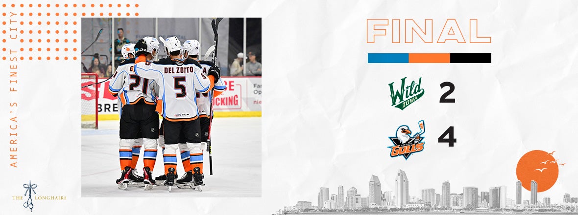 Gulls Destroy Wild