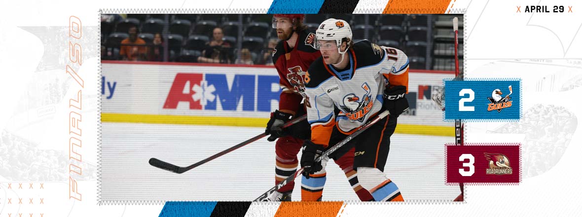 San Diego Gulls –