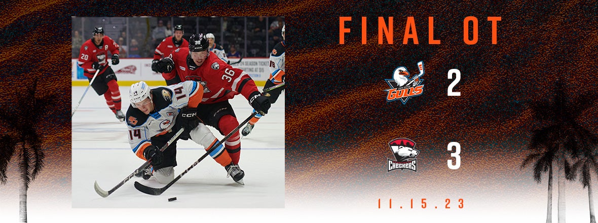 Gulls Come Up Short In OT