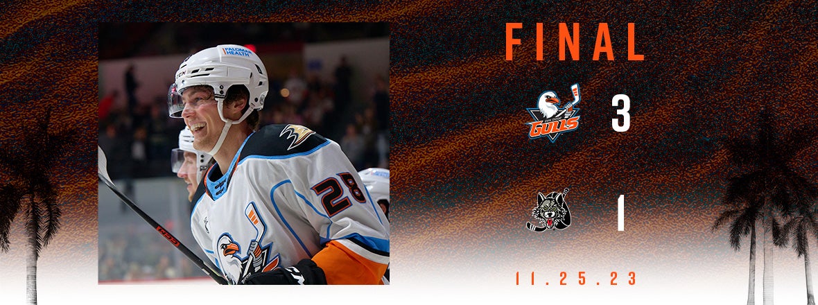 Gulls Win!