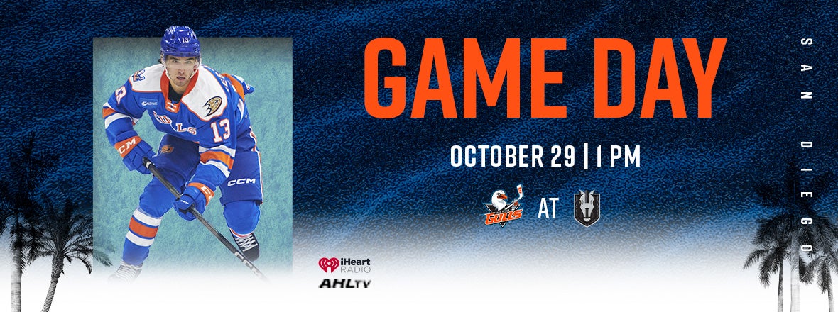 PREVIEW: Gulls Open Back-To-Back Weekend Series With Calgary Tonight