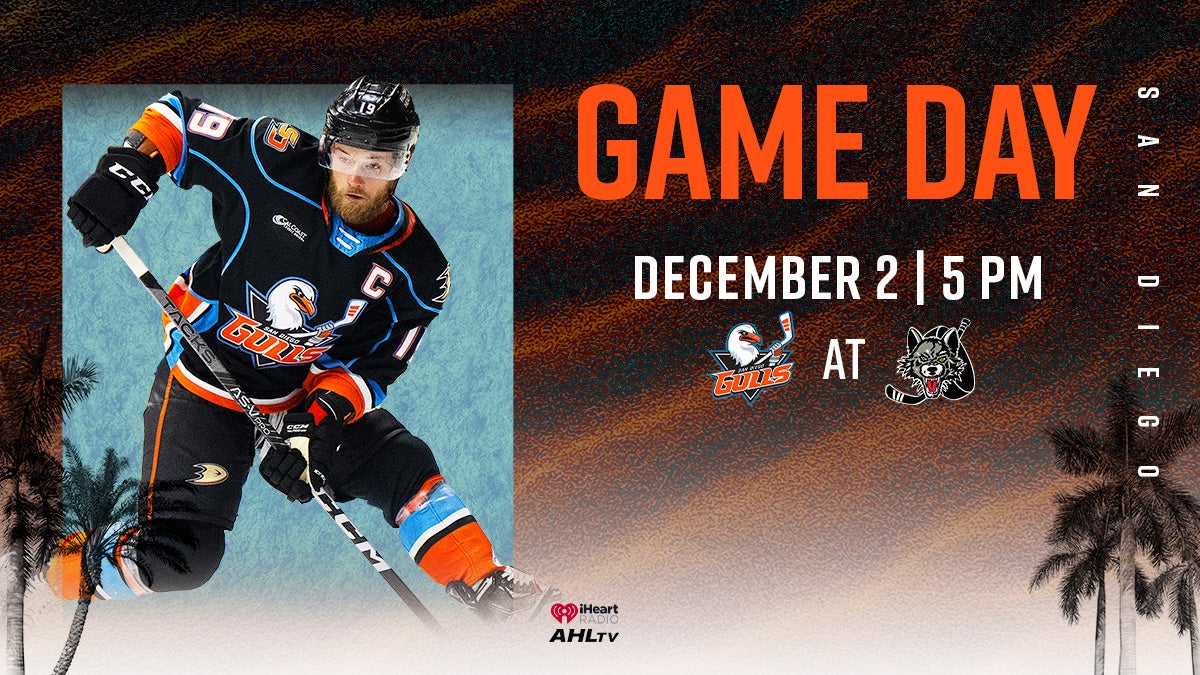 Preview: Gulls Start Road Trip Hungry For More Against Wolves | San Diego Gulls