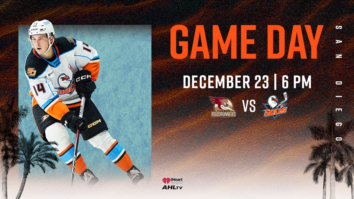 Preview: Fight Of The Feathered: Gulls Face Roadrunners | San Diego Gulls