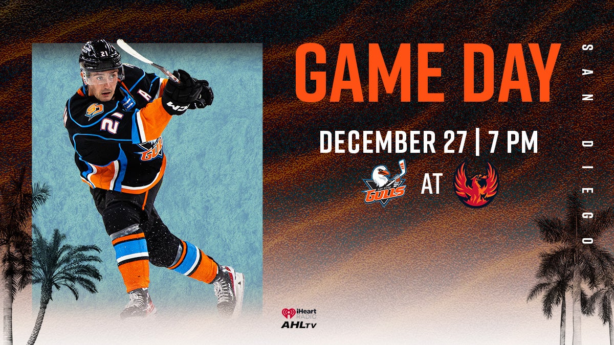 Preview: Gulls Return From Break For Road Matchup With Firebirds | San Diego Gulls