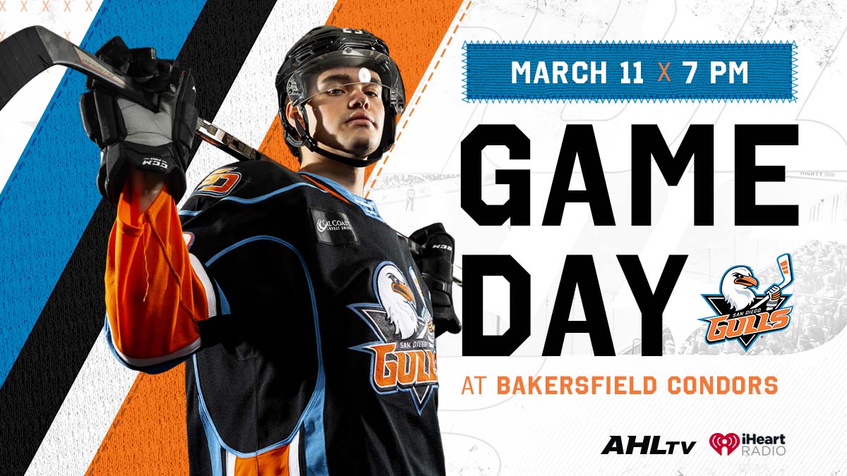 san diego gulls — Concepts —