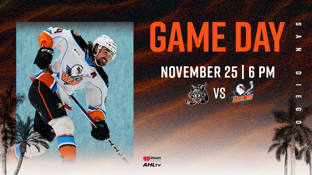 Preview: Gulls Hungry For Revenge | San Diego Gulls