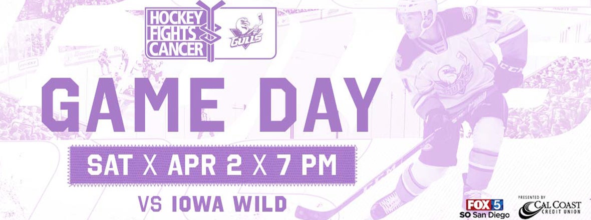 Gulls, Wild Battle On Hockey Fights Cancer Night