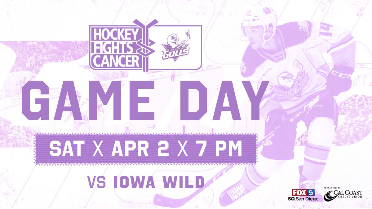 Whats Up With the Purple? The NHL Hockey Fights Cancer Initiative