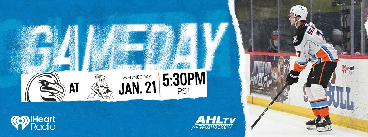 Back at the racetrack