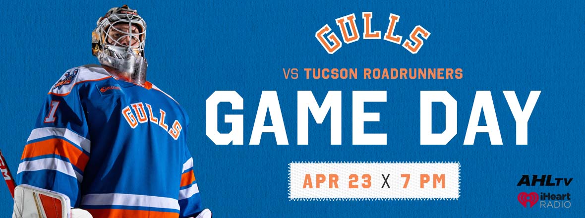 Gulls Host Roadrunners On Fan Appreciation Night