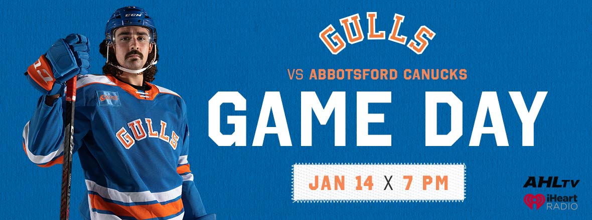 ABBOTSFORD CANUCKS VS SAN DIEGO GULLS SERIES PREVIEW