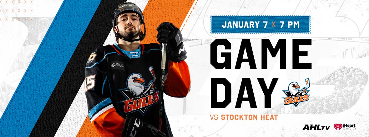 Gulls Hockey Is Back