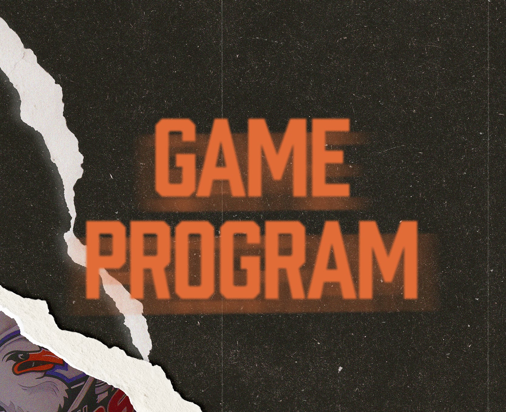 GameProgram_WebsiteBanner_400x326.jpg