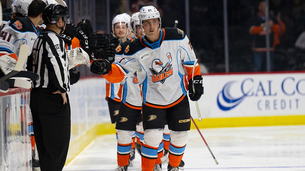 News  San Diego Gulls