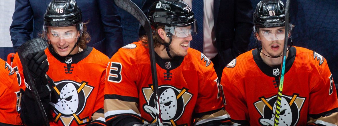 16 Facts About Anaheim Ducks 