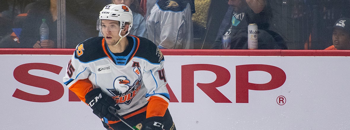 Ducks Recall Guhle From Gulls