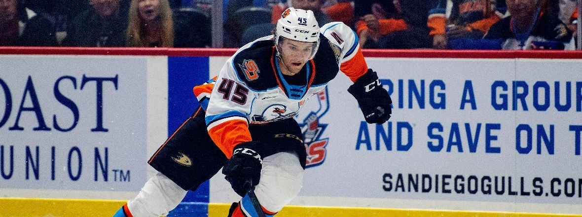 Ducks Reassign Guhle To Gulls