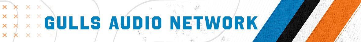 Gulls Audio Network.jpg