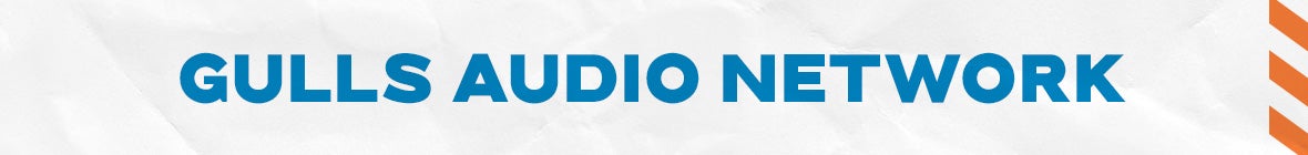 Gulls Audio Network.jpg