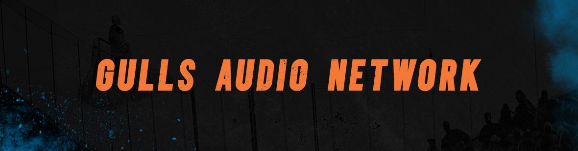 Gulls Audio Network Banner.jpg