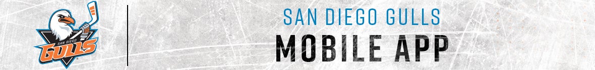 Gulls Mobile App.jpg