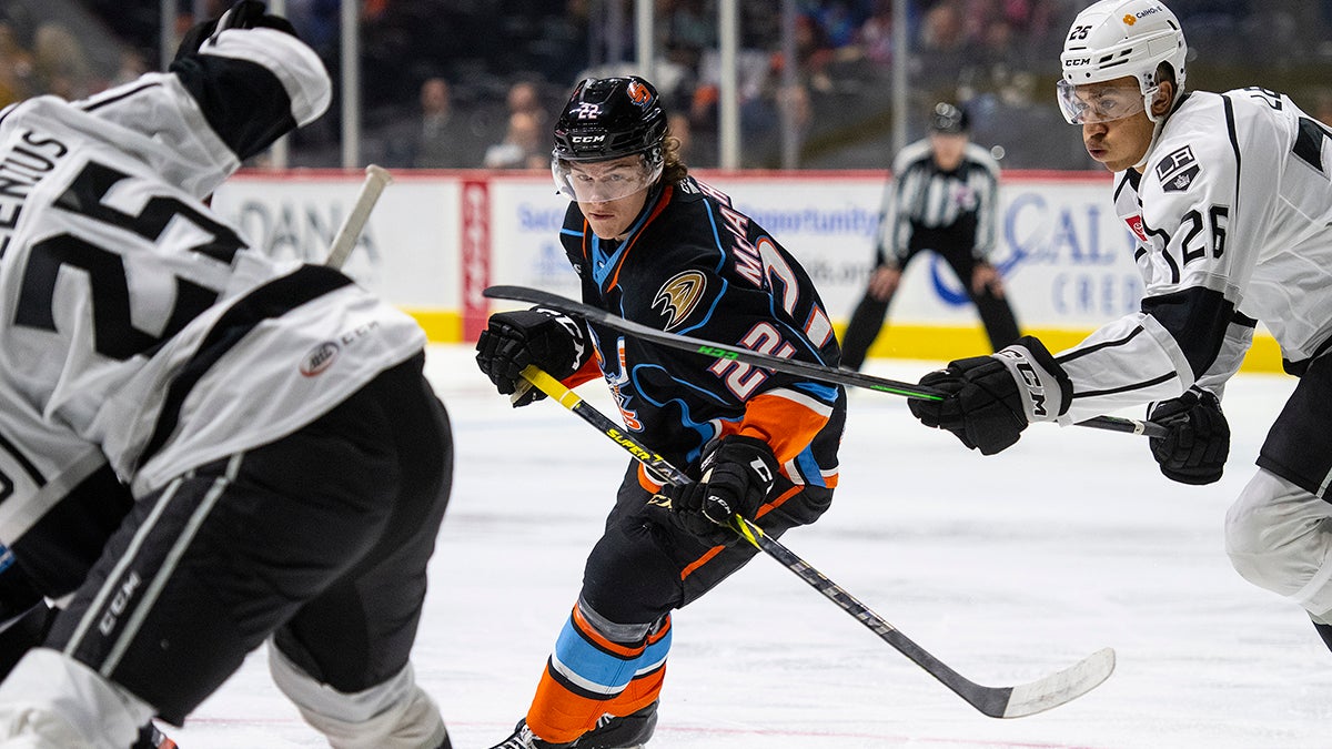 News  San Diego Gulls