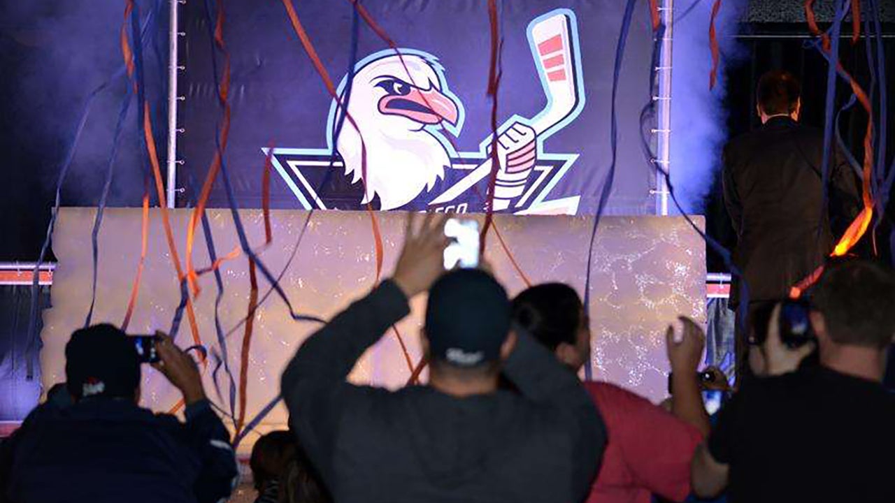 San Diego Gulls Hockey Mascot with my son Troy:)