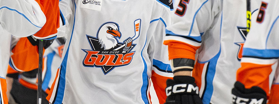 Manson and Hedican Join Gulls Coaching Staff