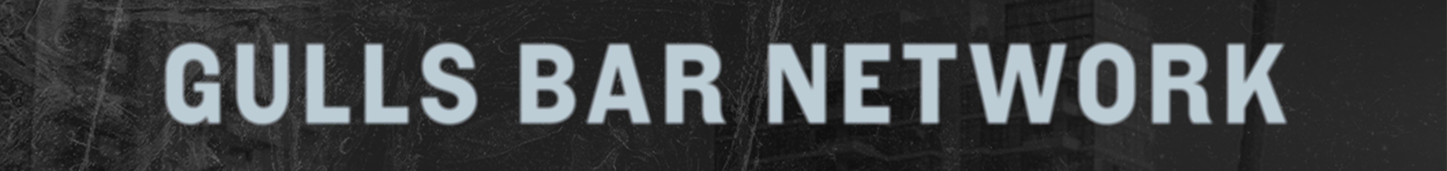 GullsBarNetwork_SkinnyBanner.jpg