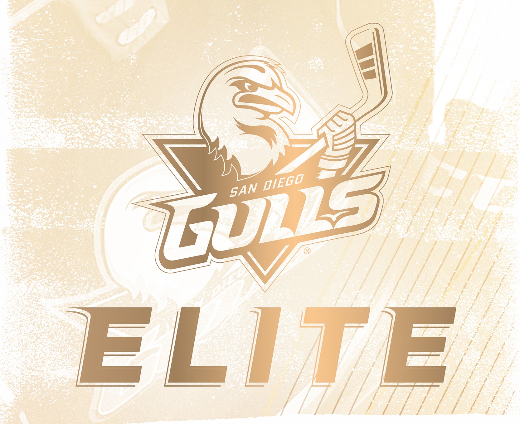 GullsElite_WebsiteBanner_400x326 (1).jpg