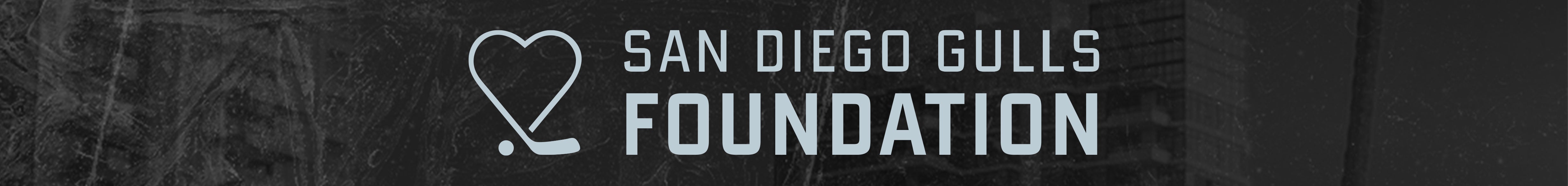 GullsFoundation_SkinnyBanner.jpg