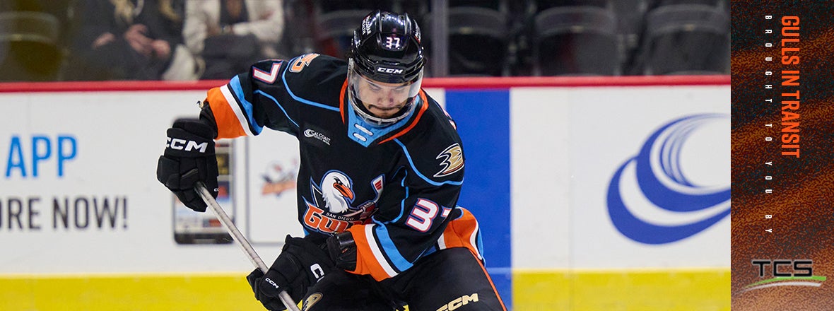 Gulls Announce Roster Moves