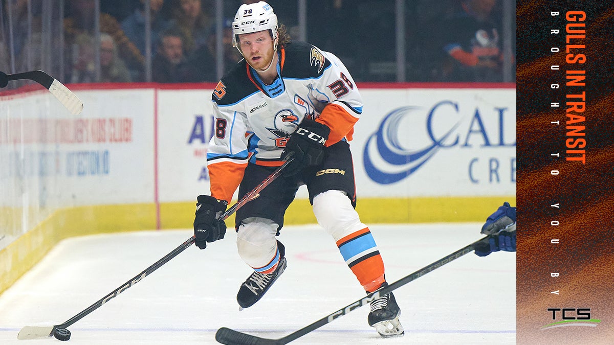 San Diego Gulls Reassign Luka Profaca to Tulsa (ECHL) | San Diego Gulls