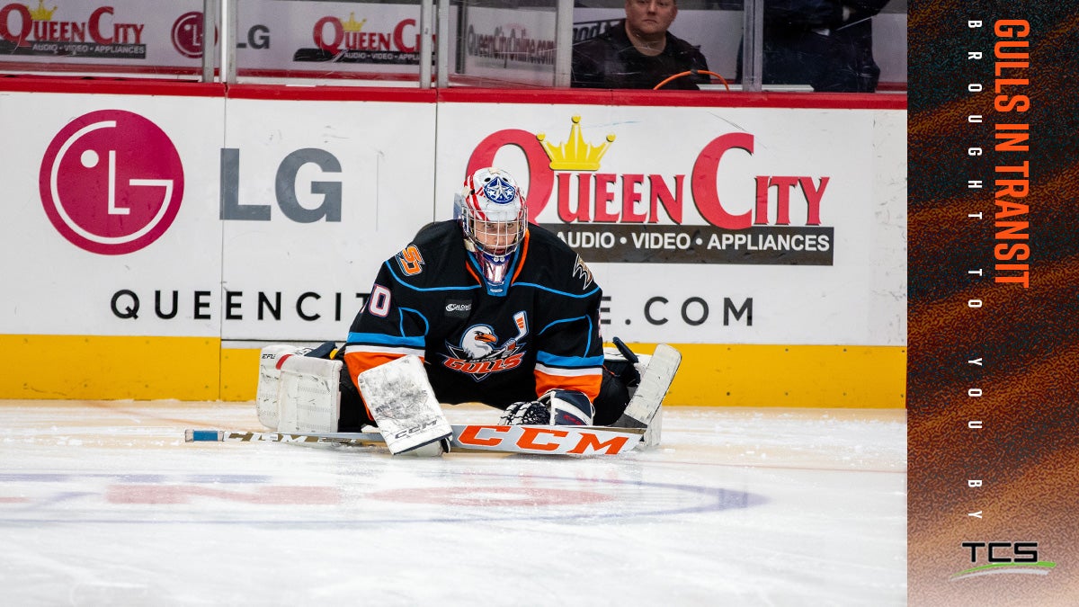 San Diego Gulls Recall Goaltender Tomas Suchanek From Tulsa (ECHL) | San Diego Gulls