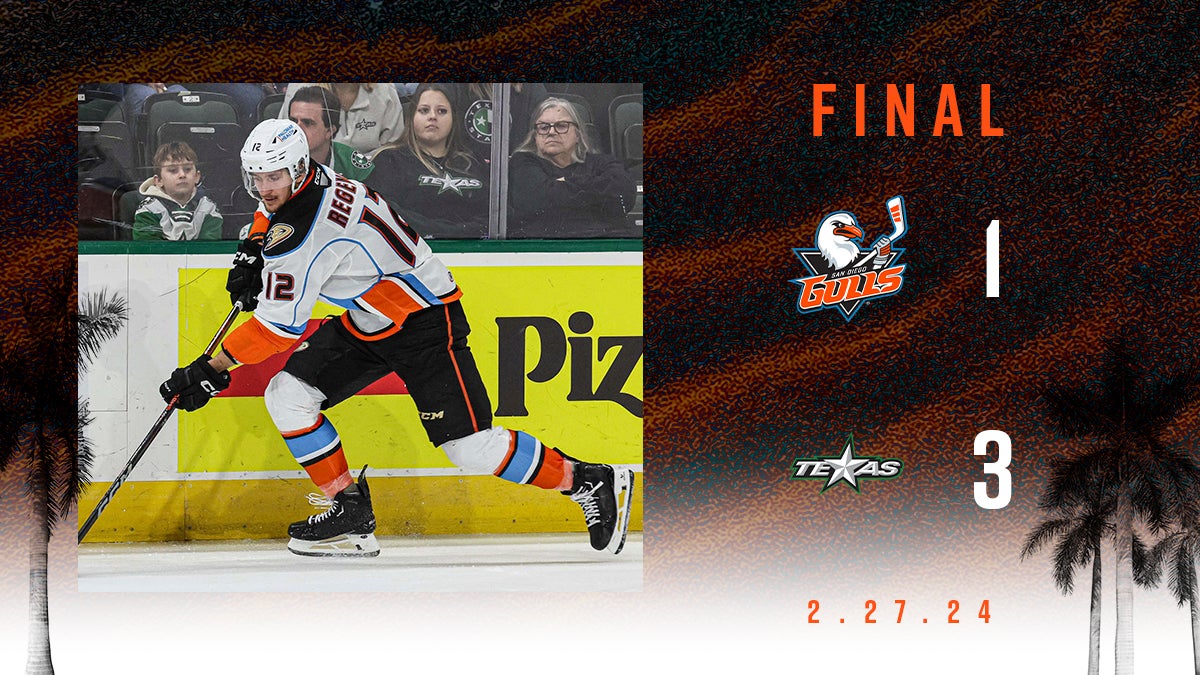 Gulls Fall to Stars 3-1  | San Diego Gulls