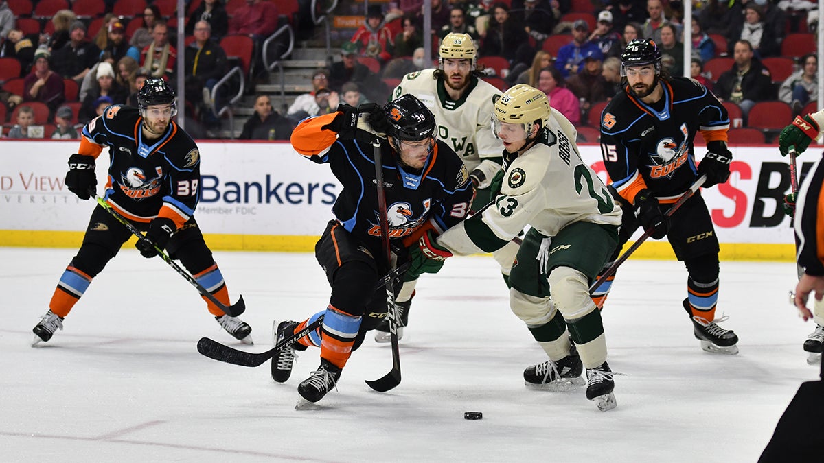 Roadrunners beat San Diego Gulls 6-3 in final game of the season