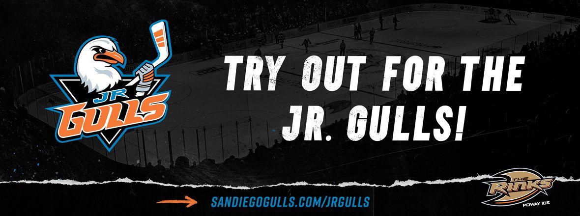 Jr. Gulls Release New Logos, Announce Tryouts