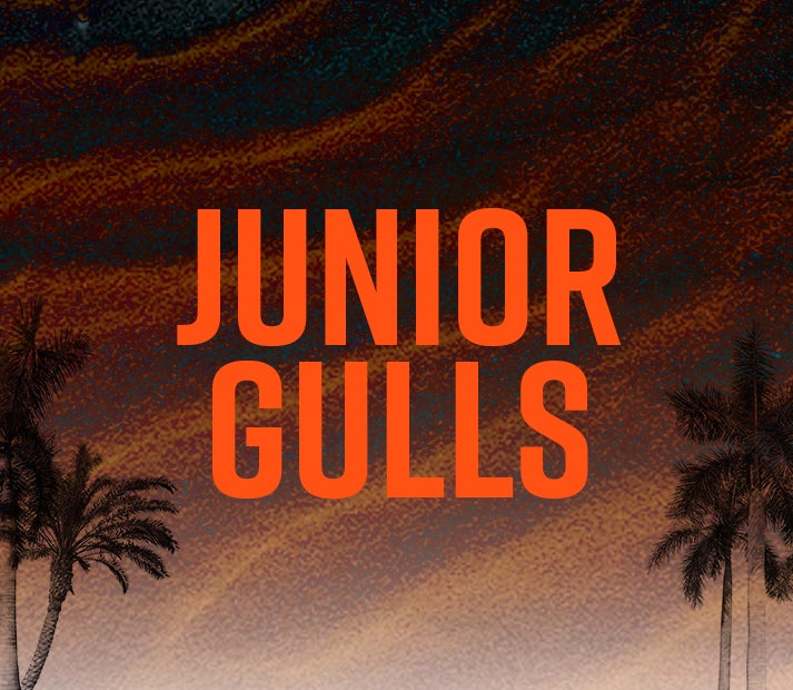 Roster San Diego Gulls 2023-2024 Season : Players Transactions