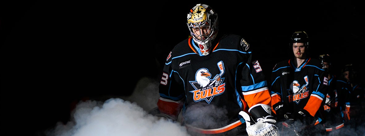 San Diego Gulls on Instagram: We are your father. Catch these