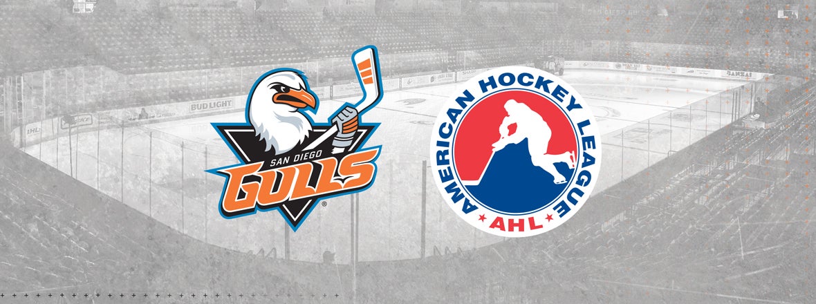 AHL Cancels Remainder of Season, Ending Texas Hockey Rivalry