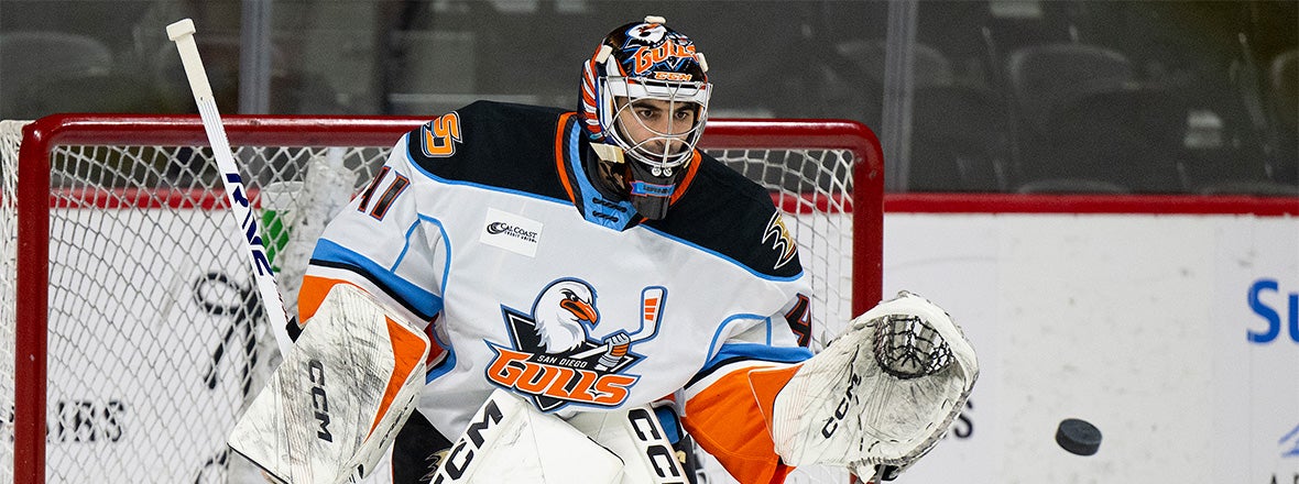 Gulls Reassign Mannella