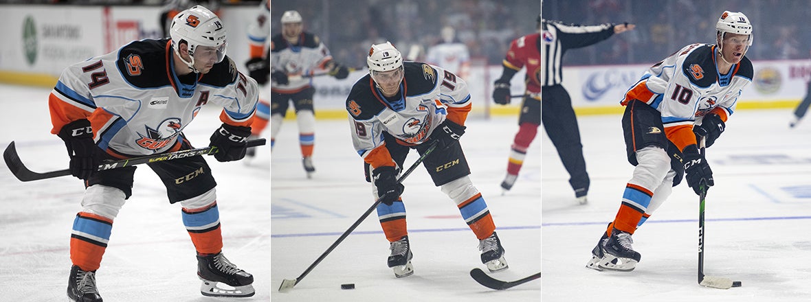 Ducks Announce Roster Moves