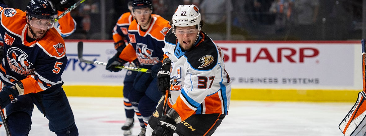 Team  San Diego Gulls