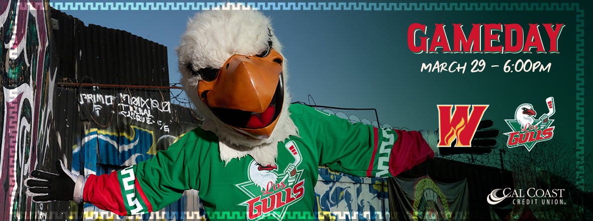 Vamos Gulls